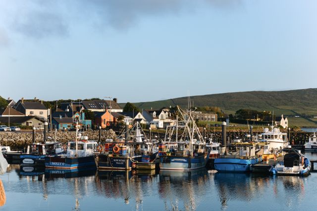 Dingle B&B